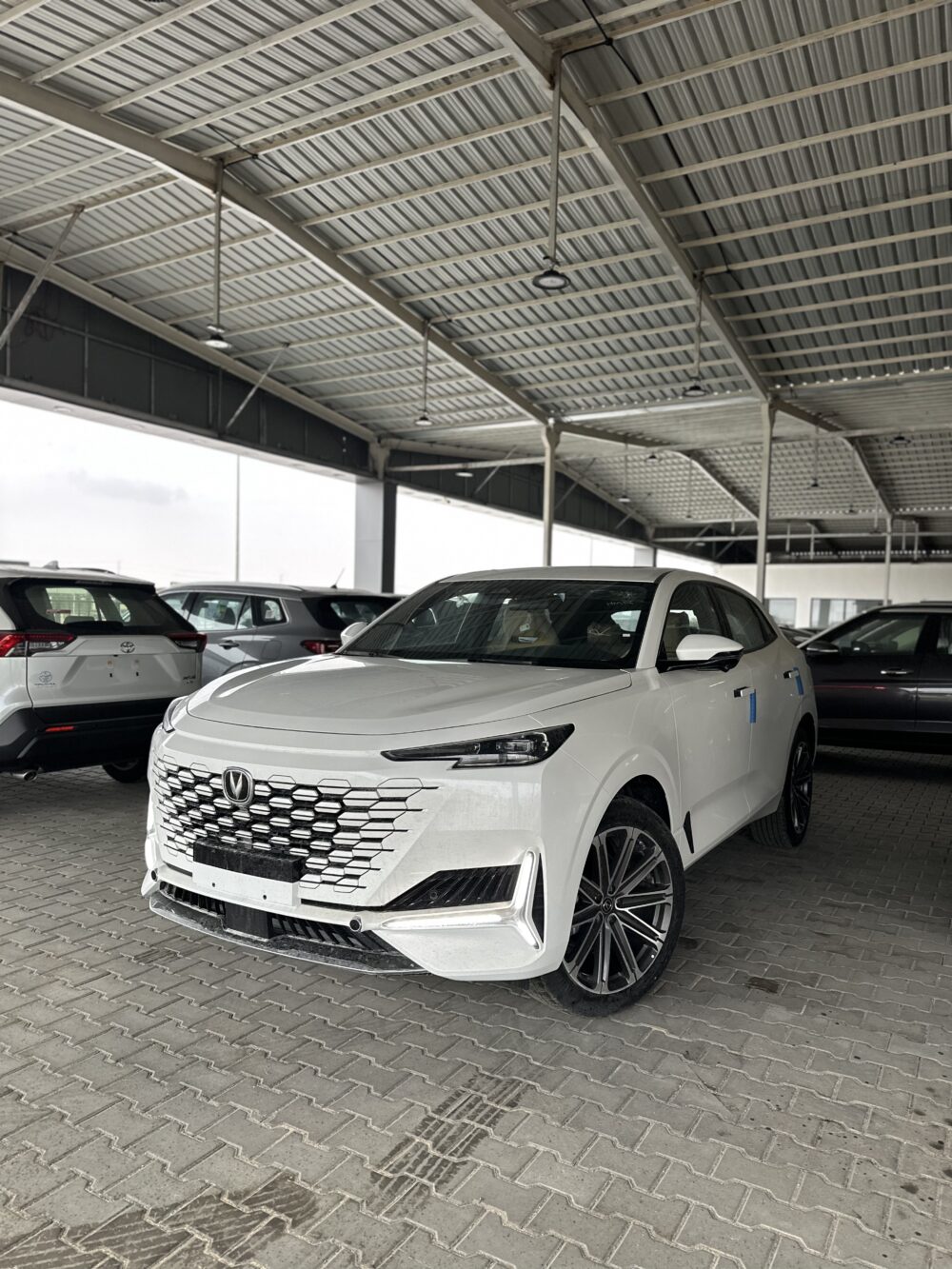 شانجان يونى كى 2026