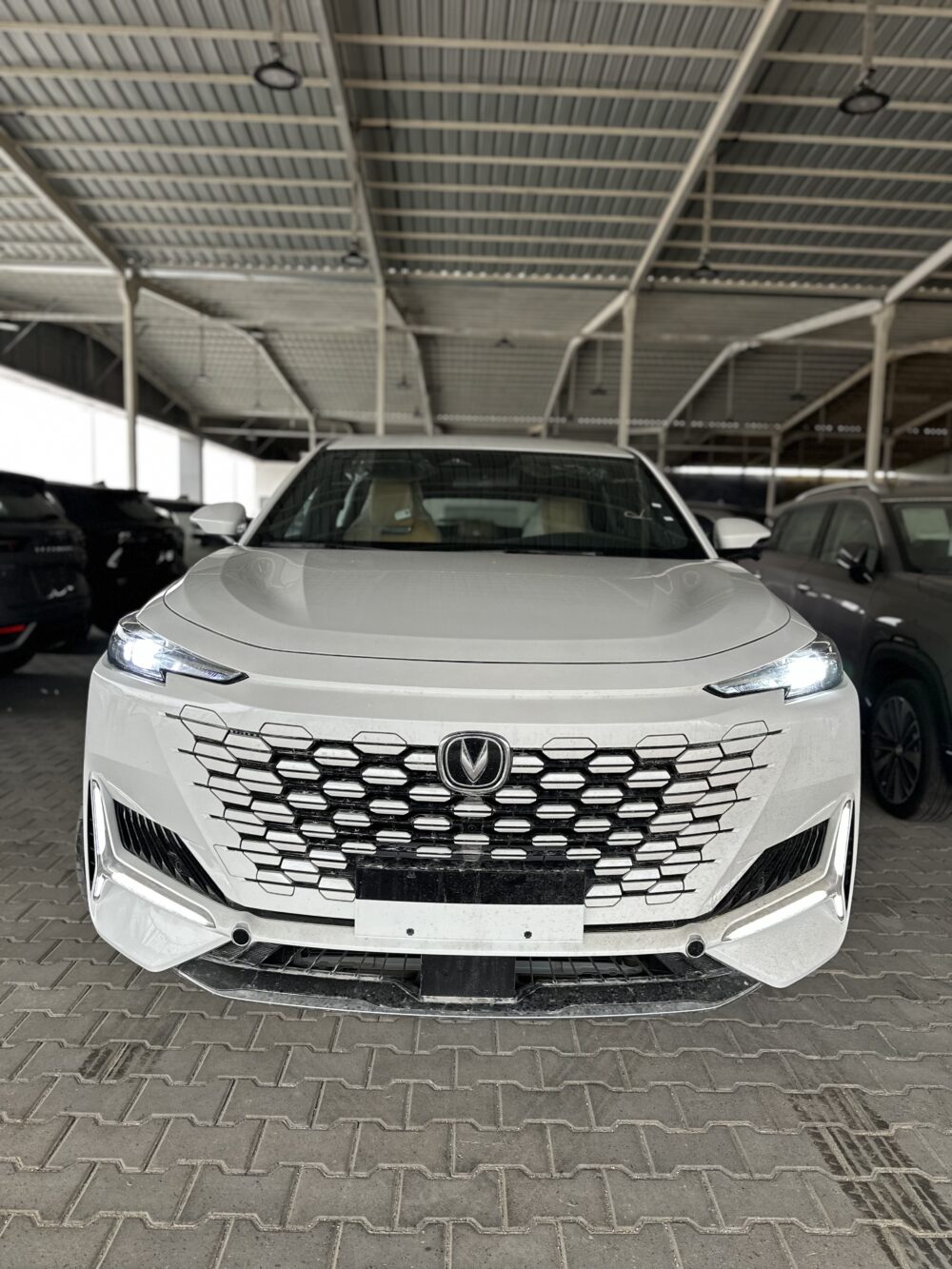 شانجان يونى كى 2026