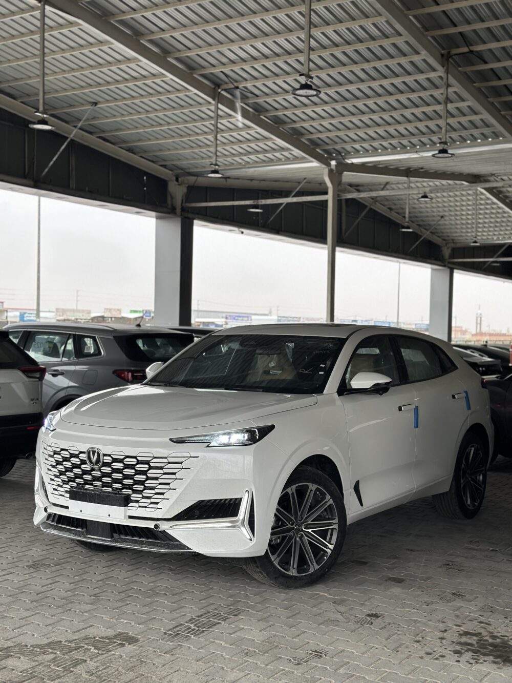 شانجان يونى كى 2026