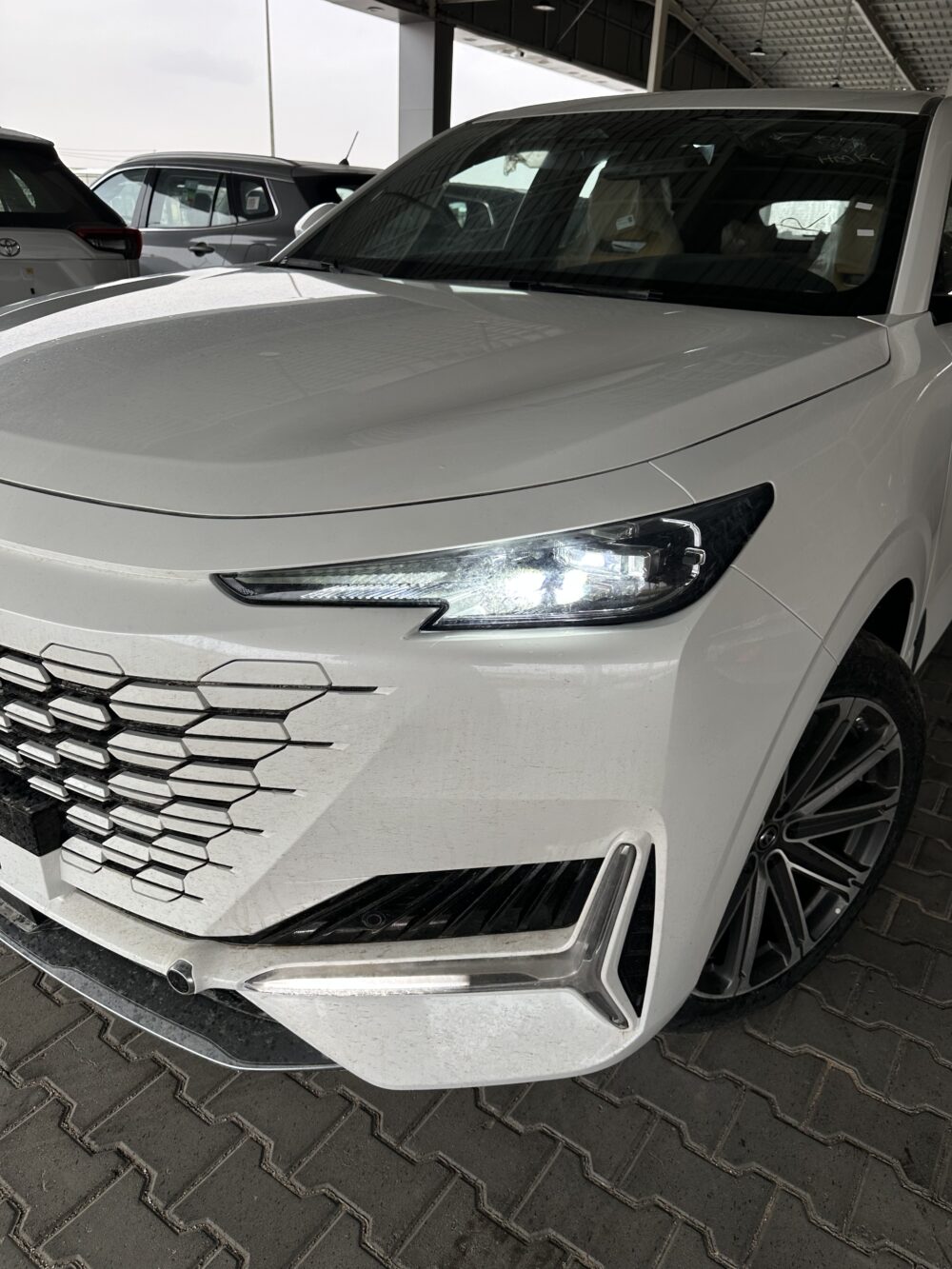 شانجان يونى كى 2026